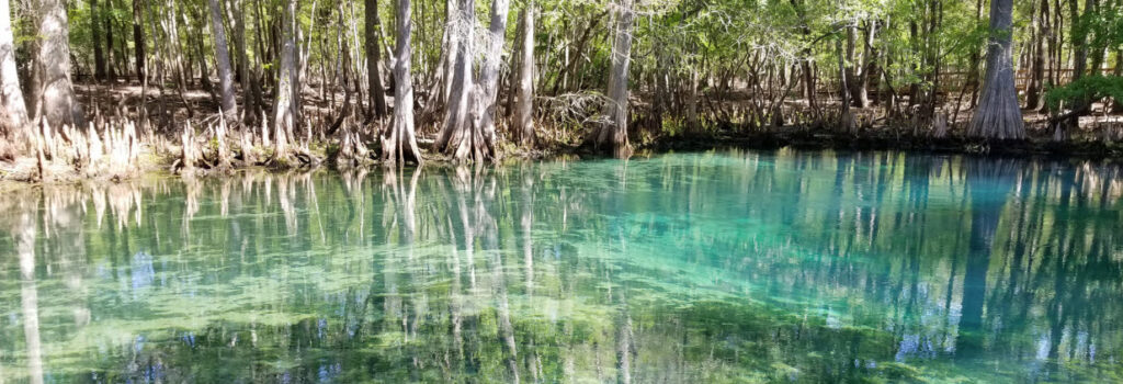 Best Campsites in Florida - Rainbow Springs State Park