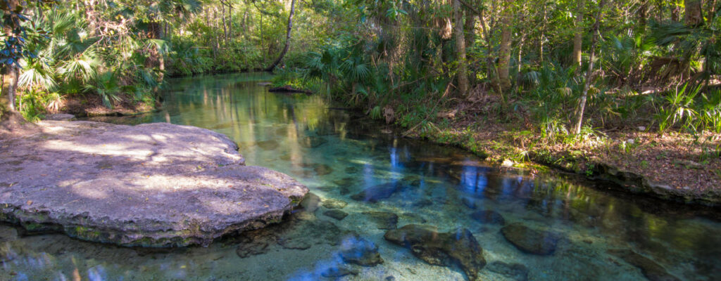 Best Campsites in Florida - Rock Springs