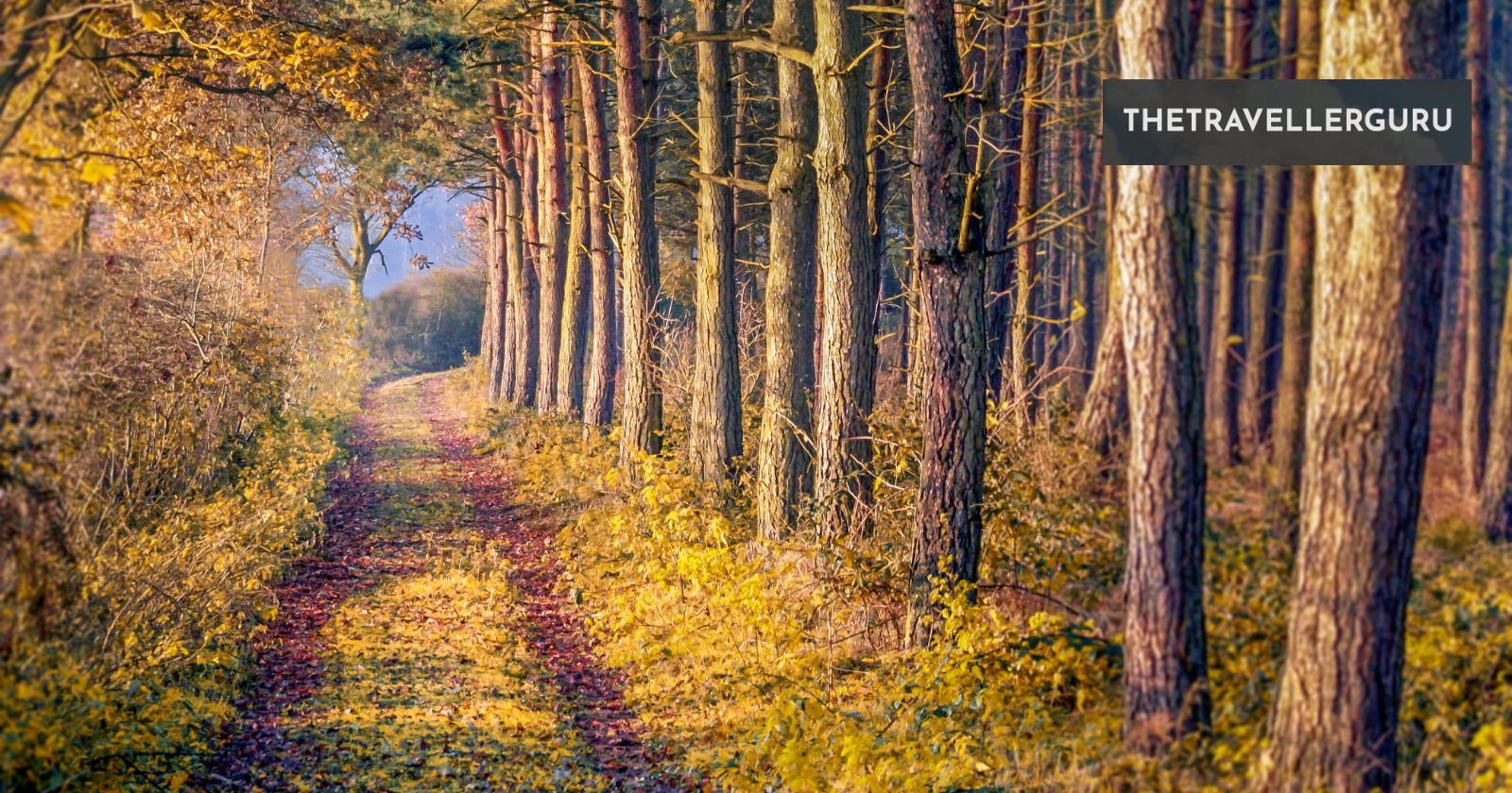 10 Best UK Mountain Biking Trails