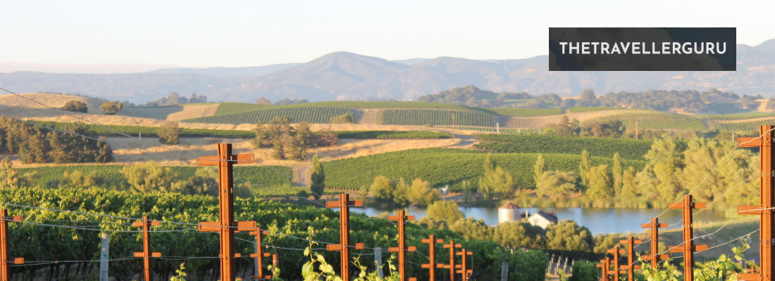 10 Best Wineries in Napa Valley