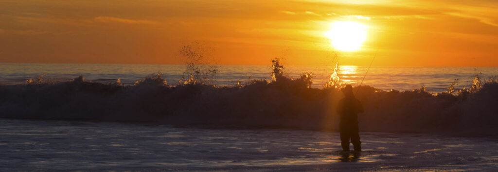 Places to Watch the Sunset in California - Torrey Pines State Natural Reserve, San Diego